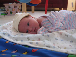 Ava laying on her blanket