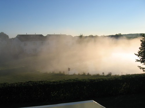 Mist Covers most of my backyard