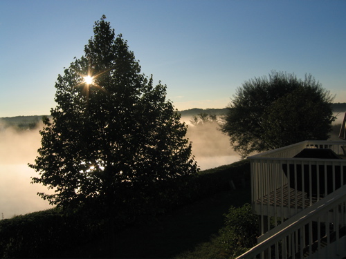 Mist Covers most of my backyard